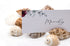 shell name card holder
